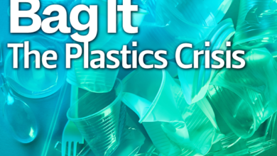 Bag It: The Plastics Crisis