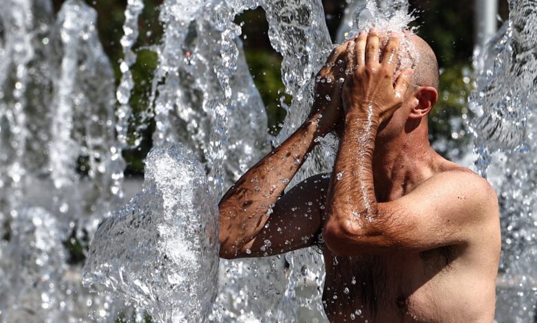 Hottest Survivable Temperatures Are Lower Than Expected