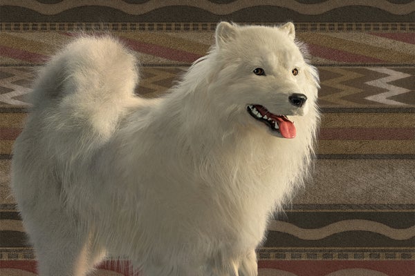 Artist illustration of a dog with upright ears and long white fur, similar in appearance to a samoyed breed dog